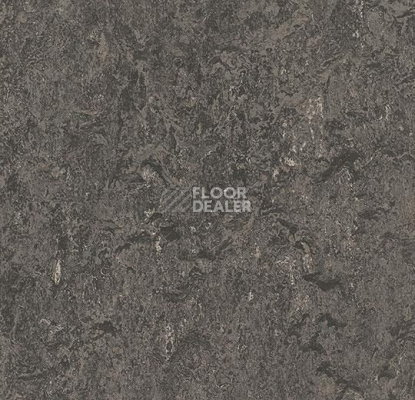 Линолеум Forbo Marmoleum Marbled Authentic 3048 graphite фото 1 | FLOORDEALER